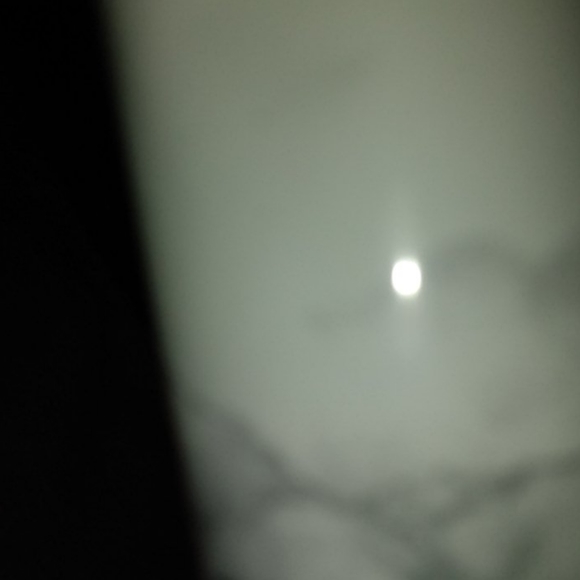 Wallpaper - Picture 1 of 1